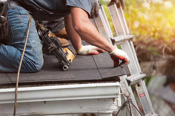 Best Roof Gutter Cleaning  in Ellsworth, WI