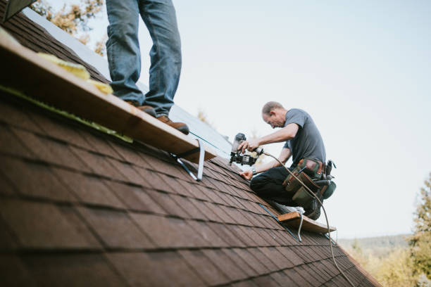 Best Roof Gutter Cleaning  in Ellsworth, WI